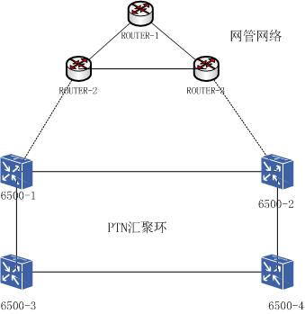 ZXCTN6500环双节点接入网管网配置(图1)